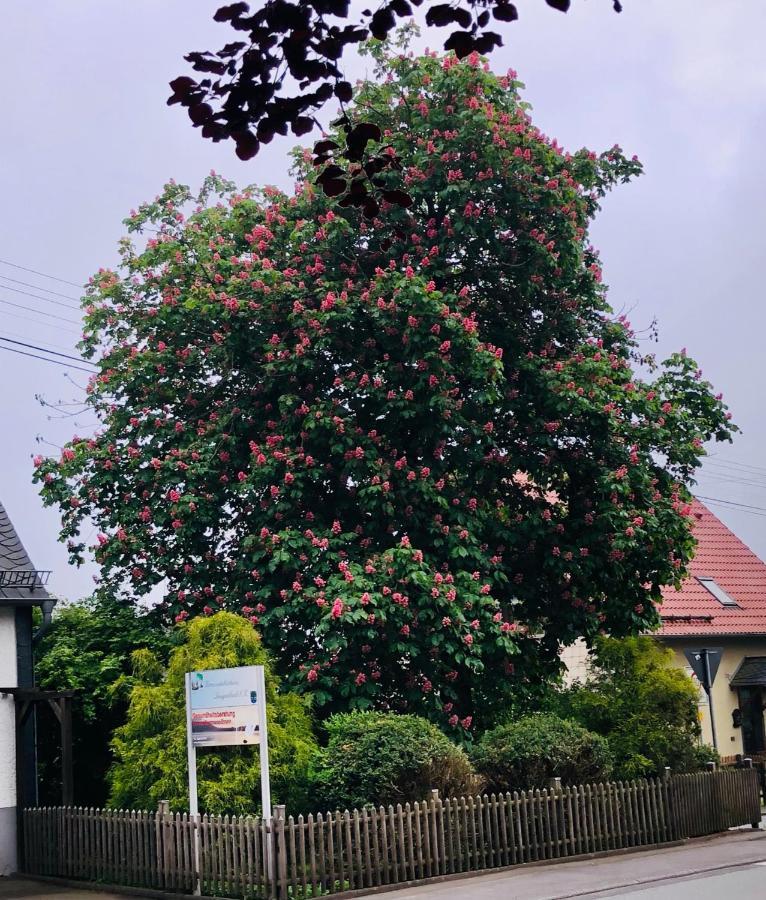 Gemuetliche Fewo Naehe Hachenburg, Bad Marienberg Lejlighed Langenbach bei Kirburg Eksteriør billede